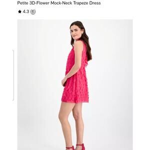 New Isabel & Nina 3D Flower Mock Neck Sleeveless Dress size Medium Petite Pink